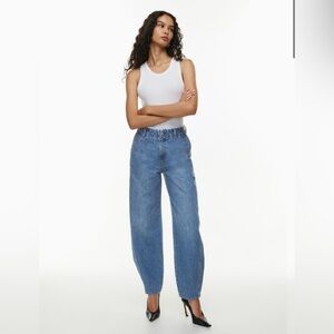 Aritzia Denim Forum The '90s Lana Hi-Rise Baggy Trouser Jean